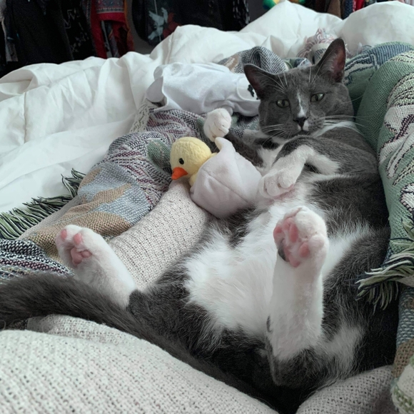 Meet your Posher, Jenna - Picture 3 of 5